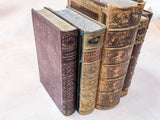 Napier's "Battles and Sieges" Faux Book Bookends (Pair)